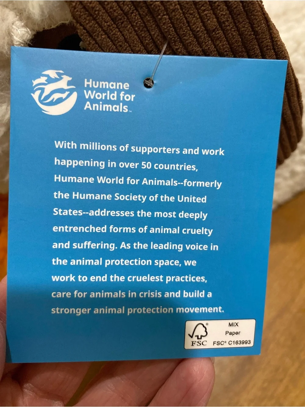 NWT.  Humane World for Animals, Halloween, dachshund pillow.